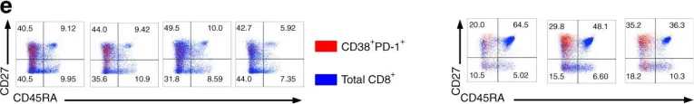 Fig.2.E showing Flow cytometry/Cell sorting in a Homo sapiens (Human) sample from the publication: Clonally diverse CD38+HLA-DR+CD8+ T cells persist during fatal H7N9 disease.