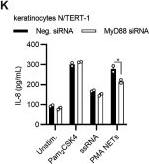 Fig.9.K showing Enzyme-linked immunosorbent assay from the publication: naRNA-LL37 composite DAMPs define sterile NETs as self-propagating drivers of inflammation.