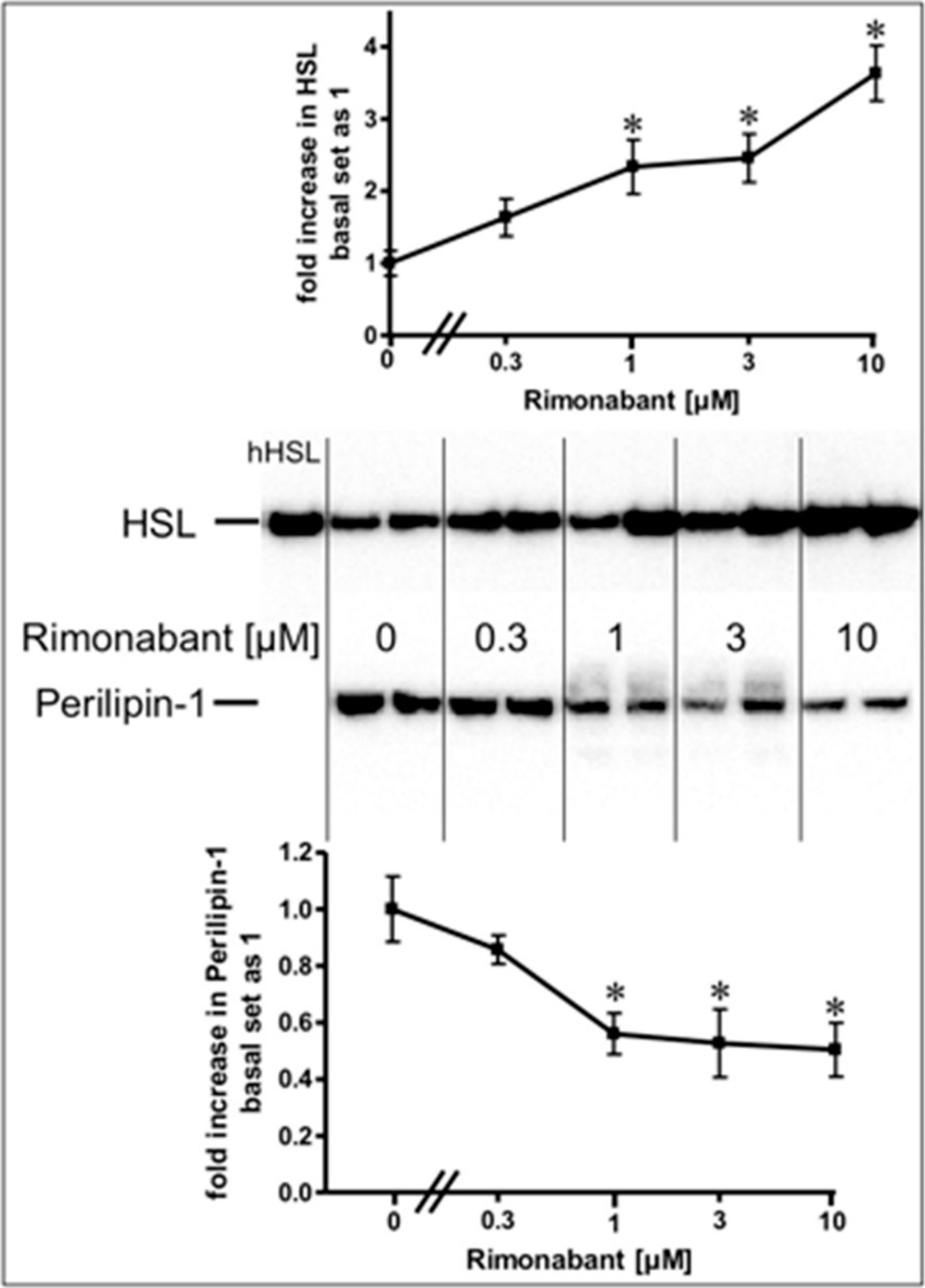 CB1 Receptor-Dependent and Independent Induction of Lipolysis in Primary Rat Adipocytes by the Inverse Agonist Rimonabant (SR141716A).