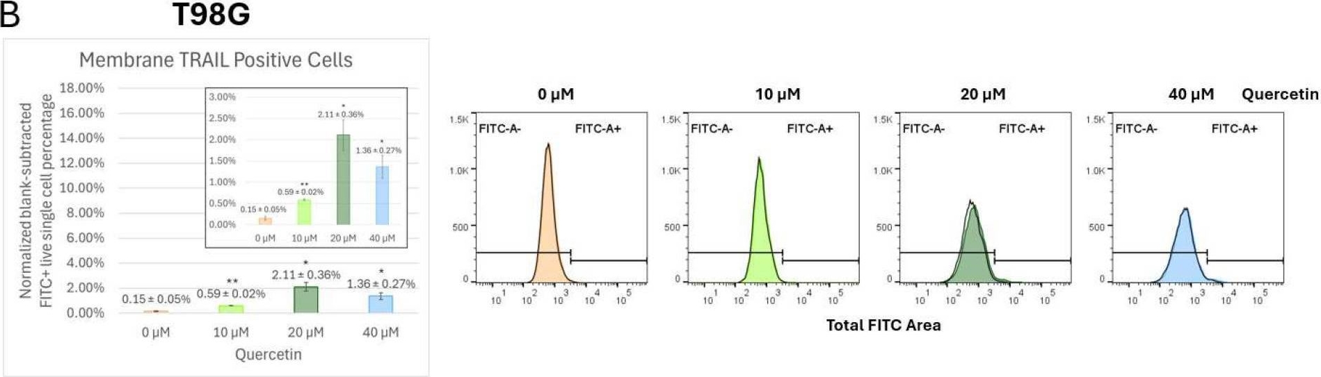 Fig.6.B from the publication: Quercetin Increases Expression of Membrane-TRAIL in Glioblastoma Cells Resulting in Apoptosis.