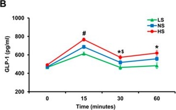 Fig.1.B showing Enzyme-linked immunosorbent assay from the publication: NFAT5 Is Involved in GRP-Enhanced Secretion of GLP-1 by Sodium.