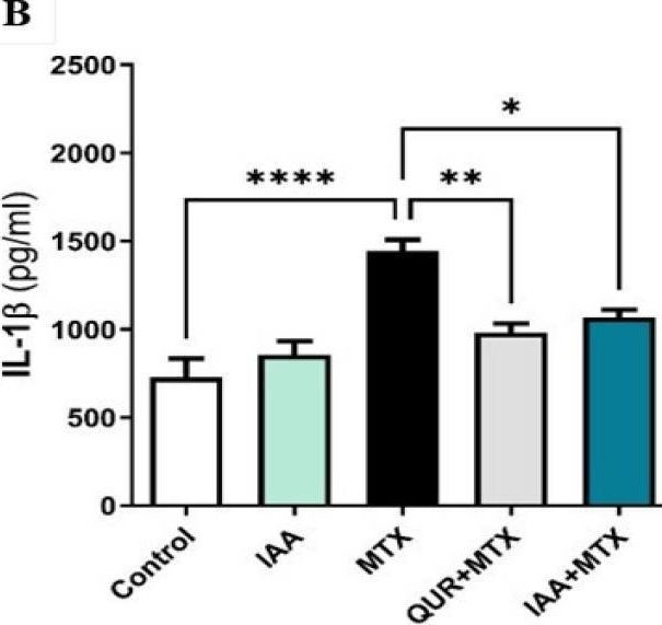 Fig.3.B showing Enzyme-linked immunosorbent assay from the publication: Indole-3-Acetic Acid: Promising Protective Agent Against Methotrexate-Induced Liver Injury via Modulation of TLR4/NF-κB/Caspase-3 Pathway.