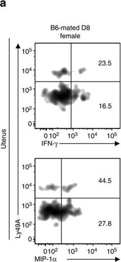 Fig.9.A showing Flow cytometry/Cell sorting in a Mus musculus (House mouse) sample from the publication: MHC-dependent inhibition of uterine NK cells impedes fetal growth and decidual vascular remodelling.