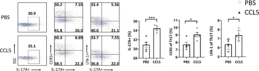Fig.3.A showing Flow cytometry/Cell sorting in a Mus musculus (House mouse) sample from the publication: CCL5 promotes LFA-1 expression in Th17 cells and induces LCK and ZAP70 activation in a mouse model of Parkinson's disease.