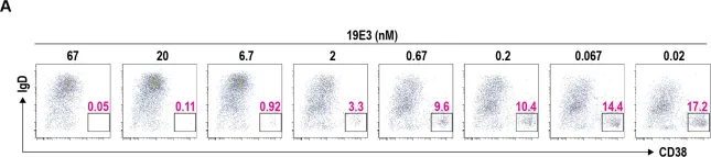 Fig.5.A showing Flow cytometry/Cell sorting in a Mus musculus (House mouse) sample from the publication: Discovery and characterization of potent IL-21 neutralizing antibodies via a novel alternating antigen immunization and humanization strategy.