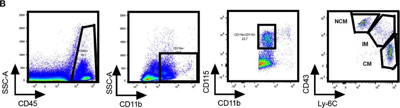 Fig.2.B showing Flow cytometry/Cell sorting in a Mus musculus (House mouse) sample from the publication: Androgen Receptor Signaling Positively Regulates Monocytic Development.