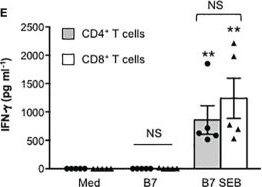Fig.3.E showing Enzyme-linked immunosorbent assay from the publication: Binding of Staphylococcal Enterotoxin B (SEB) to B7 Receptors Triggers TCR- and CD28-Mediated Inflammatory Signals in the Absence of MHC Class II Molecules.