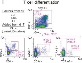 Fig.5.I showing Flow cytometry/Cell sorting from the publication: GMP-compliant iPS cell lines show widespread plasticity in a new set of differentiation workflows for cell replacement and cancer immunotherapy.