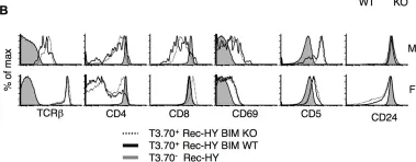 Fig.5.B showing Flow cytometry/Cell sorting from the publication: A novel TCR transgenic model reveals that negative selection involves an immediate, Bim-dependent pathway and a delayed, Bim-independent pathway.