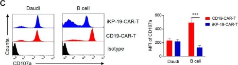 Fig.4.C showing Flow cytometry/Cell sorting from the publication: CD19-CAR-T Cells Bearing a KIR/PD-1-Based Inhibitory CAR Eradicate CD19+HLA-C1- Malignant B Cells While Sparing CD19+HLA-C1+ Healthy B Cells.