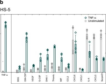 Fig.4.B from the publication: In vitro models of the crosstalk between multiple myeloma and stromal cells recapitulate the mild NF-κB activation observed in vivo.