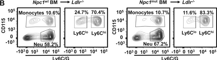 Fig.2.B showing Flow cytometry/Cell sorting from the publication: Elevated granulocyte-colony stimulating factor and hematopoietic stem cell mobilization in Niemann-Pick type C1 disease.