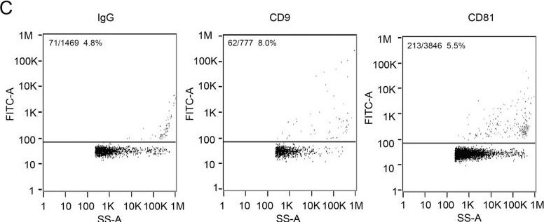 Fig.1.C showing Flow cytometry/Cell sorting in a Homo sapiens (Human) sample from the publication: Abnormal expression profile of plasma-derived exosomal microRNAs in patients with treatment-resistant depression.