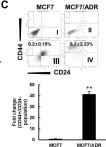 Fig.1.C showing Flow cytometry/Cell sorting in a Homo sapiens (Human) sample from the publication: Exostosin 1 regulates cancer cell stemness in doxorubicin-resistant breast cancer cells.