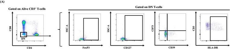 Fig.6.A showing Flow cytometry/Cell sorting in a Macaca mulatta (Rhesus Monkey) sample from the publication: Double-Negative T-Cells during Acute Human Immunodeficiency Virus and Simian Immunodeficiency Virus Infections and Following Early Antiretroviral Therapy Initiation.