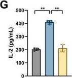 Fig.8.G showing Enzyme-linked immunosorbent assay from the publication: Extracellular vesicle-LncRNA HOTAIR modulates esophageal cancer chemoresistance and immune microenvironment via miR-375/CDH2 pathway.