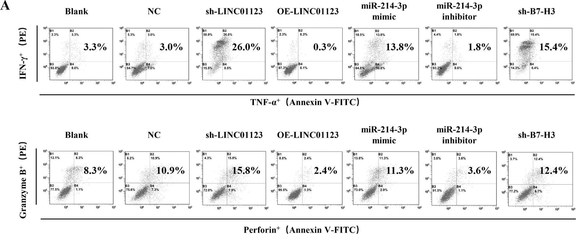 Fig.4.A showing Flow cytometry/Cell sorting in a Homo sapiens (Human) sample from the publication: LINC01123 promotes immune escape by sponging miR-214-3p to regulate B7-H3 in head and neck squamous-cell carcinoma.