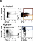 Fig.5.B showing Flow cytometry/Cell sorting in a Mus musculus (House mouse) sample from the publication: Epidermal Growth Factor Receptor Expression Licenses Type-2 Helper T Cells to Function in a T Cell Receptor-Independent Fashion.