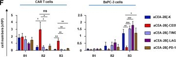 Fig.4.F from the publication: Augmenting CAR T cell functionality and metabolism through CD39 downtuning.