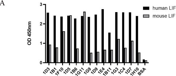 Fig.1.A from the publication: Antagonist anti-LIF antibody derived from naive human scFv phage library inhibited tumor growth in mice.