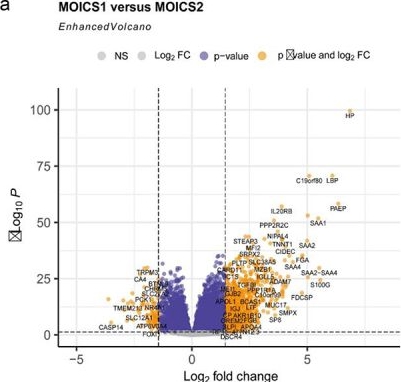 Fig.4.A from the publication: MOICS, a novel classier deciphering immune heterogeneity and aid precise management of clear cell renal cell carcinoma at multiomics level.