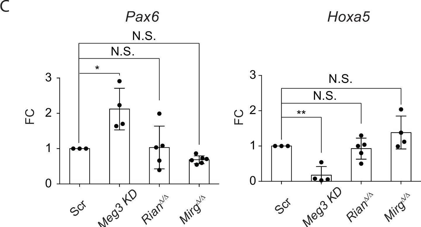 Fig.8.U showing Flow cytometry/Cell sorting from the publication: Dlk1-Dio3 locus-derived lncRNAs perpetuate postmitotic motor neuron cell fate and subtype identity.