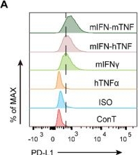 Fig.4.A showing Flow cytometry/Cell sorting from the publication: Tumor necrosis factor receptor 2 promotes endothelial cell-mediated suppression of CD8+ T cells through tuning glycolysis in chemoresistance of breast cancer.
