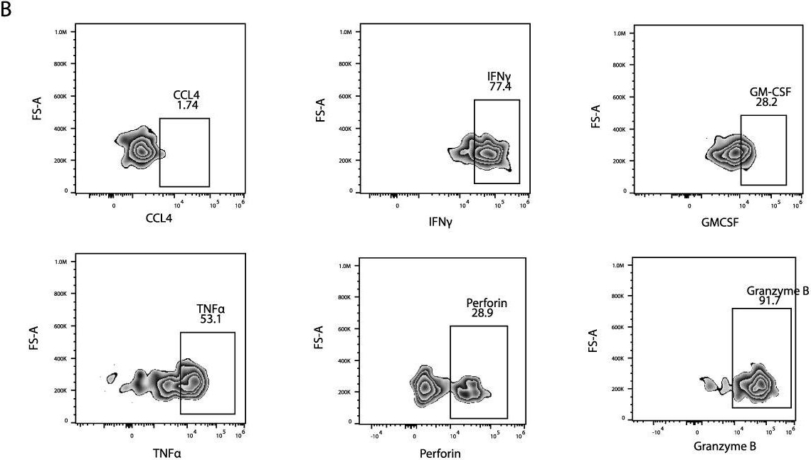 Fig.3.B showing Flow cytometry/Cell sorting in a Homo sapiens (Human) sample from the publication: Circulating CD56bright NK cells inversely correlate with survival of melanoma patients.