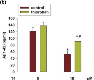 Fig.3.B showing Enzyme-linked immunosorbent assay from the publication: Tripchlorolide attenuates β-amyloid generation by inducing NEP activity in N2a/APP695 cells.