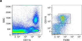 Fig.6.A showing Flow cytometry/Cell sorting in a Mus musculus (House mouse) sample from the publication: Effector CD4+ T cells recognize intravascular antigen presented by patrolling monocytes.