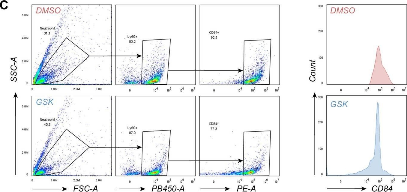 Fig.6.C showing Flow cytometry/Cell sorting in a Mus musculus (House mouse) sample from the publication: Hepatocyte SGK1 activated by hepatic ischemia-reperfusion promotes the recurrence of liver metastasis via IL-6/STAT3.