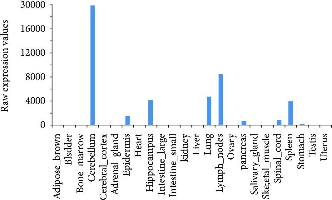 Fig.3.B showing Flow cytometry/Cell sorting in a Mus musculus (House mouse) sample from the publication: Neutrophil-Derived MRP14 Supports Plasma Cell Commitment and Protects Myeloma Cells from Apoptosis.