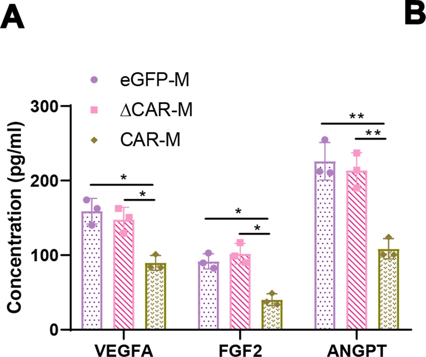 Fig.4.A showing Enzyme-linked immunosorbent assay in a Mus musculus (House mouse) sample from the publication: Leveraging CAR macrophages targeting c-Met for precision immunotherapy in pancreatic cancer: insights from single-cell multi-omics.