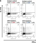 Fig.2.B showing Flow cytometry/Cell sorting in a Mus musculus (House mouse) sample from the publication: Development of a Heat-Killed fbp1 Mutant Strain as a Therapeutic Agent To Treat Invasive Cryptococcus Infection.