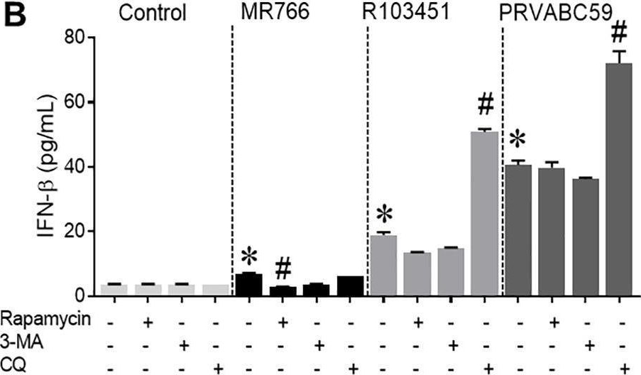 Fig.5.B showing Enzyme-linked immunosorbent assay from the publication: Toll-like receptor 3 regulates Zika virus infection and associated host inflammatory response in primary human astrocytes.