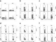 Fig.5.A showing Flow cytometry/Cell sorting in a Homo sapiens (Human) sample from the publication: SCGN deficiency results in colitis susceptibility.