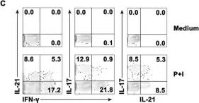 Fig.1.C showing Flow cytometry/Cell sorting from the publication: Antigen-specific human NKT cells from tuberculosis patients produce IL-21 to help B cells for the production of immunoglobulins.