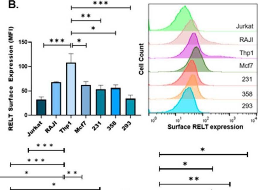 Fig.1.B showing Flow cytometry/Cell sorting in a Homo sapiens (Human) sample from the publication: RELT Is Upregulated in Breast Cancer and Induces Death in Breast Cancer Cells.