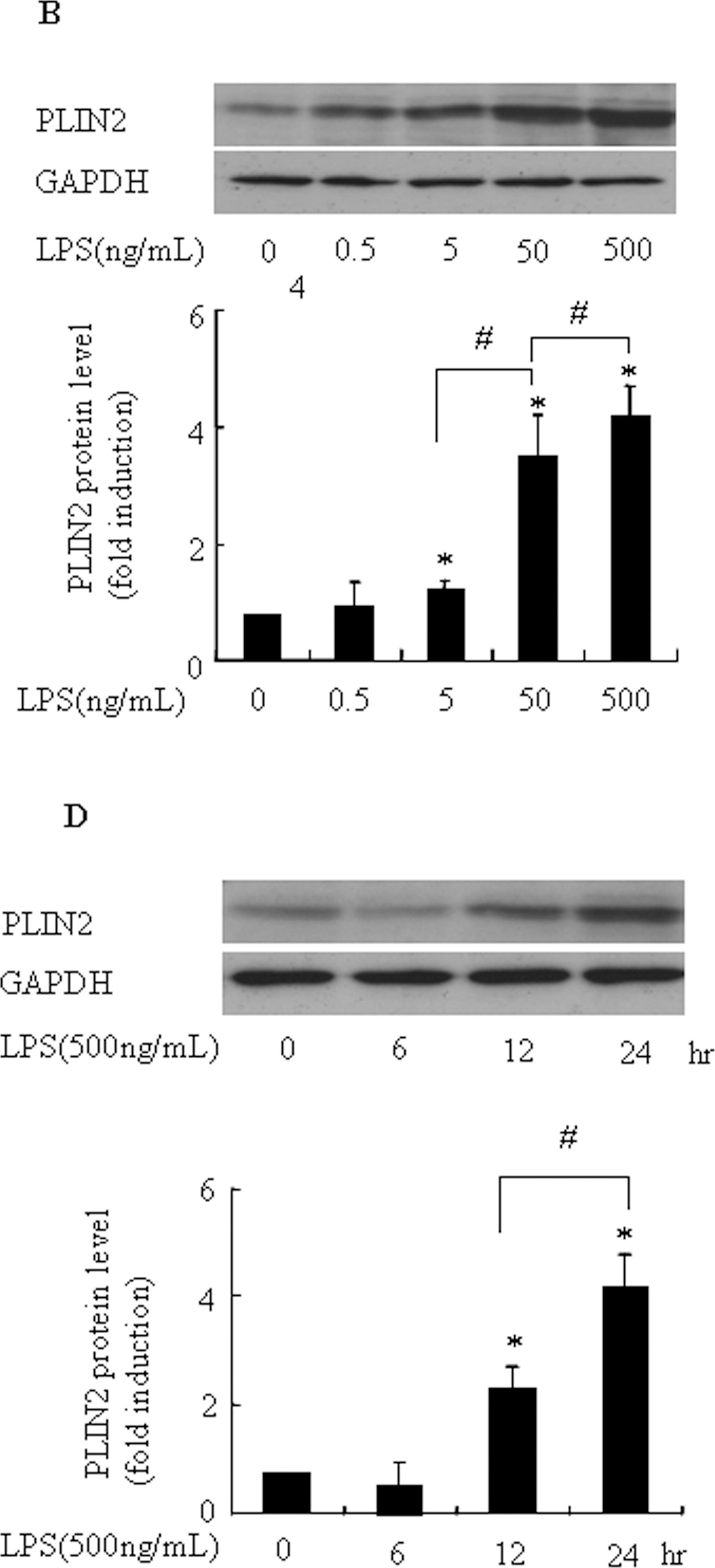 Pycnogenol Attenuates the Release of Proinflammatory Cytokines and Expression of Perilipin 2 in Lipopolysaccharide-Stimulated Microglia in Part via Inhibition of NF-κB and AP-1 Activation.