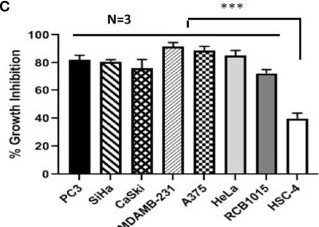Fig.10.C from the publication: SSTP1, a Host Defense Peptide, Exploits the Immunomodulatory IL6 Pathway to Induce Apoptosis in Cancer Cells.