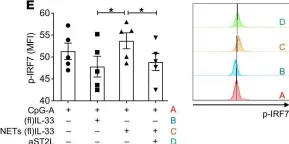 Fig.7.E showing Flow cytometry/Cell sorting from the publication: NETs decorated with bioactive IL-33 infiltrate inflamed tissues and induce IFN-α production in patients with SLE.