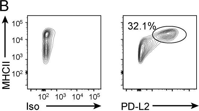 Fig.1.B showing Flow cytometry/Cell sorting in a Mus musculus (House mouse) sample from the publication: Transcriptional determinants of tolerogenic and immunogenic states during dendritic cell maturation.