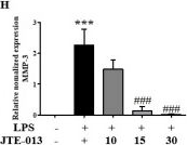 Fig.9.H from the publication: Blocking the Sphingosine-1-Phosphate Receptor 2 (S1P2) Reduces the Severity of Collagen-Induced Arthritis in DBA-1J Mice.