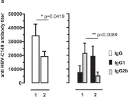 Fig.7.A showing Enzyme-linked immunosorbent assay in a Mus musculus (House mouse) sample from the publication: Cationic domains in particle-forming and assembly-deficient HBV core antigens capture mammalian RNA that stimulates Th1-biased antibody responses by DNA vaccination.
