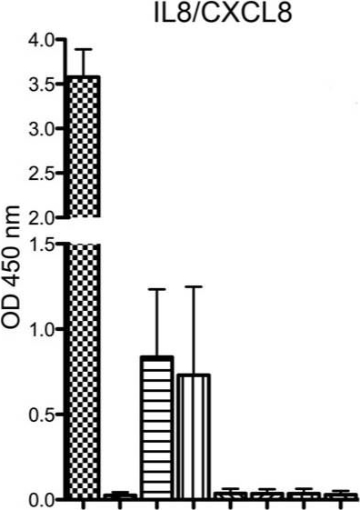 Fig.1.A showing Enzyme-linked immunosorbent assay in a Homo sapiens (Human) sample from the publication: Phospholipase D from Loxosceles laeta Spider Venom Induces IL-6, IL-8, CXCL1/GRO-α, and CCL2/MCP-1 Production in Human Skin Fibroblasts and Stimulates Monocytes Migration.