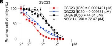 Fig.9.B from the publication: Cancer stem cells synthesize proline to attenuate oxidative stress.