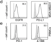 Fig.2.D showing Flow cytometry/Cell sorting from the publication: Characterization of a Trispecific PD-L1 Blocking Antibody That Exhibits EGFR-Conditional 4-1BB Agonist Activity.
