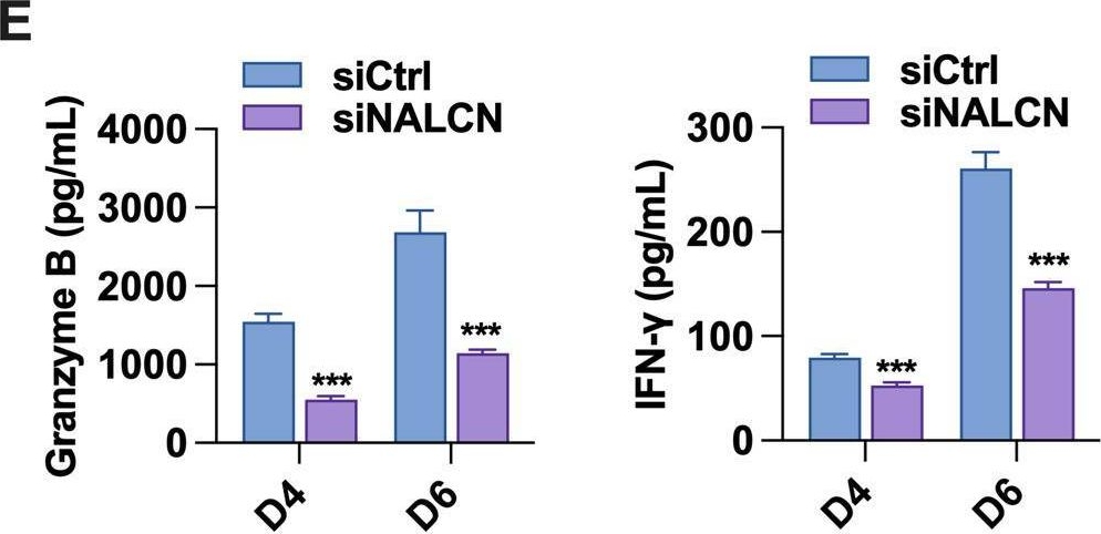 Fig.7.E showing Enzyme-linked immunosorbent assay from the publication: NALCN expression is down-regulated and associated with immune infiltration in gastric cancer.