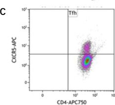 Fig.1.C showing Flow cytometry/Cell sorting in a Homo sapiens (Human) sample from the publication: Clinical significance of T helper cell subsets in the peripheral blood and bone marrow of patients with multiple myeloma.