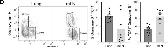Fig.5.D showing Flow cytometry/Cell sorting from the publication: Airway surveillance and lung viral control by memory T cells induced by COVID-19 mRNA vaccine.